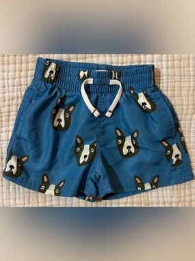 Blue Rooster Collection Blue Boys' Swim Trunks with Dog Faces